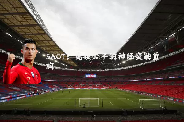 SAOT:竞技公平的神经突触重构